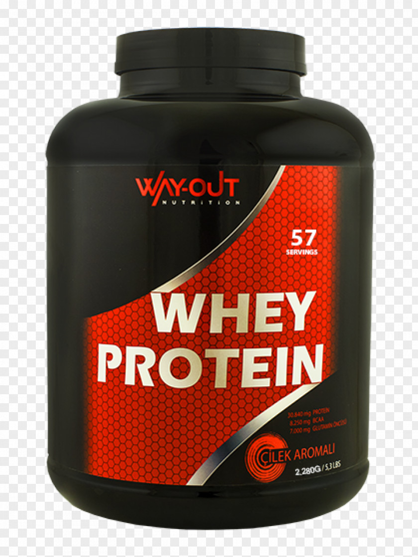 Protein Dietary Supplement Whey Concentrate PNG