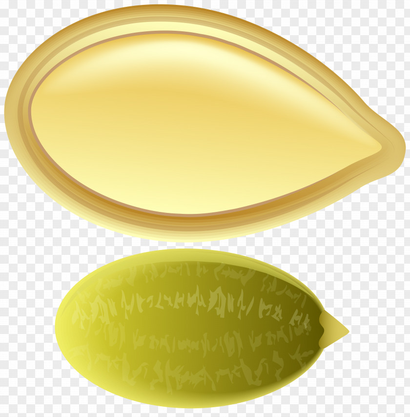 Pumpkin Seed Clip Art Product Yellow Oval Design PNG
