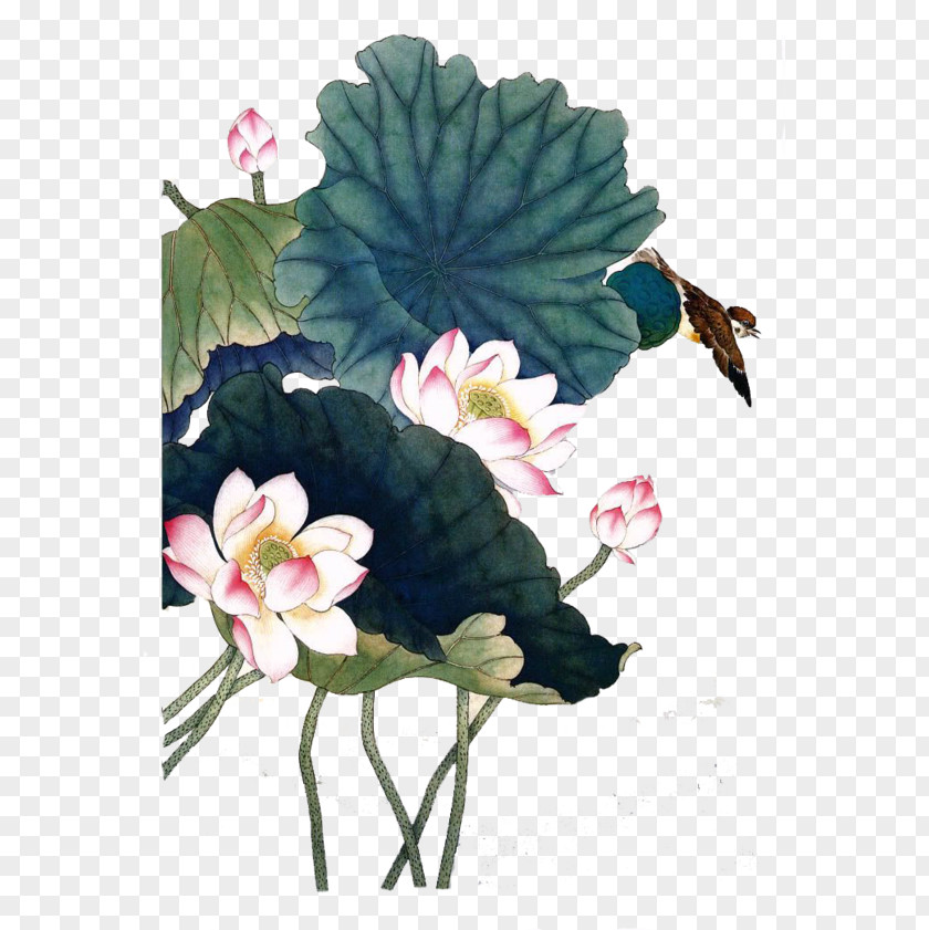 Ink Lotus China Nelumbo Nucifera Flower Watercolor Painting PNG