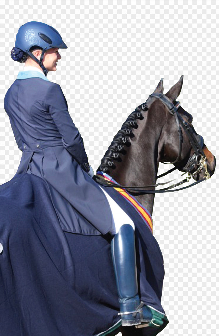 Kane Horse Dressage Equestrian Helmets UVEX PNG