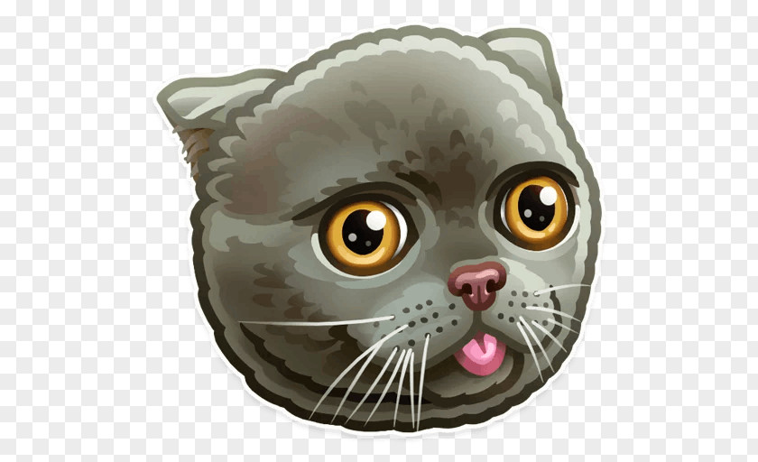 Kitten Whiskers Sticker Tabby Cat PNG