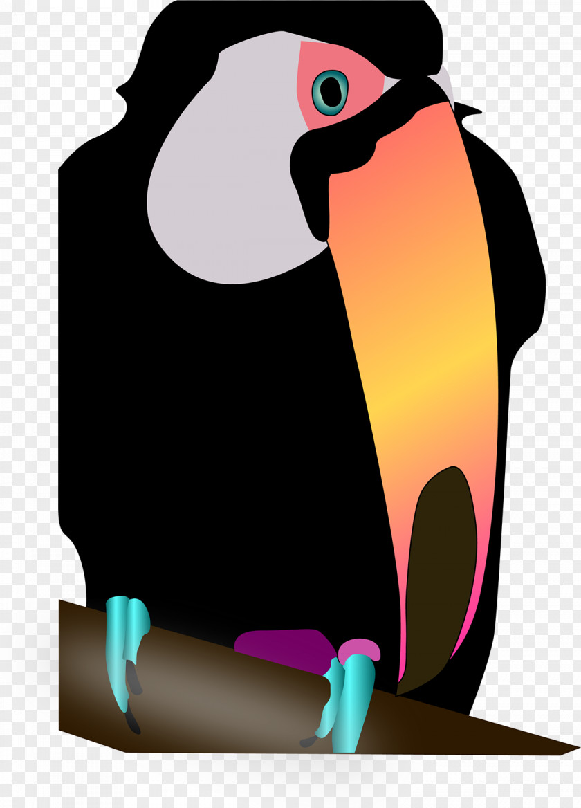 Piciformes Toucan Penguin PNG