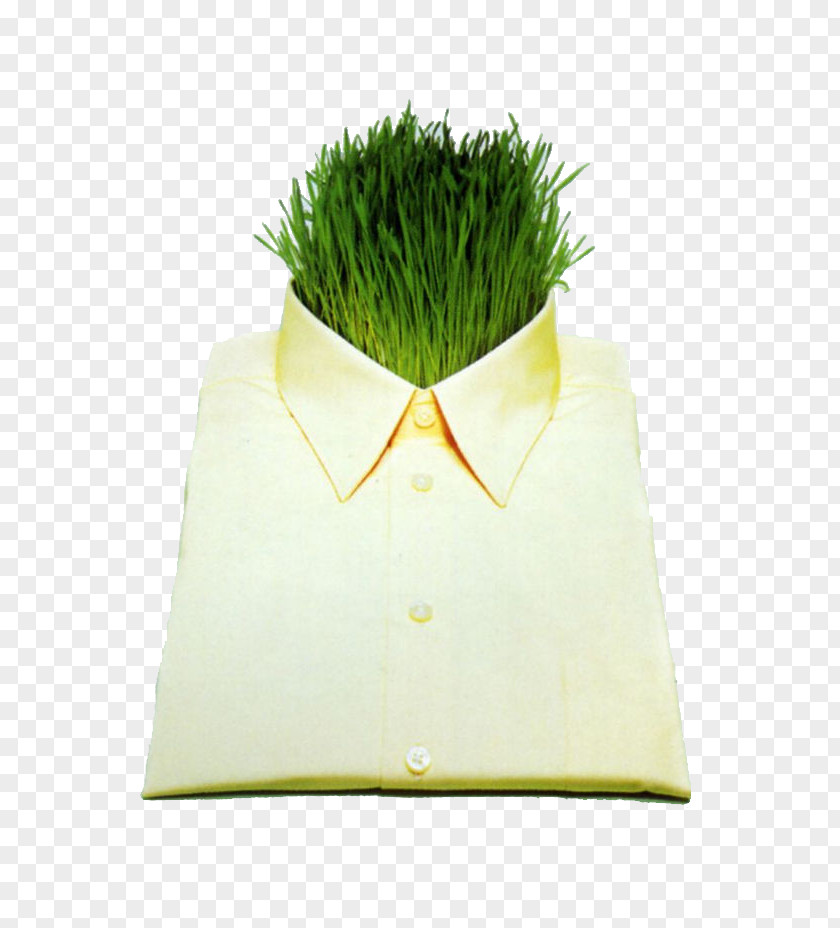 Suit Shirt Clothing PNG