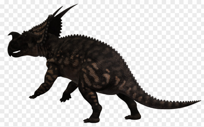 Animal Claws Einiosaurus Dinosaur Cat Tyrannosaurus PNG
