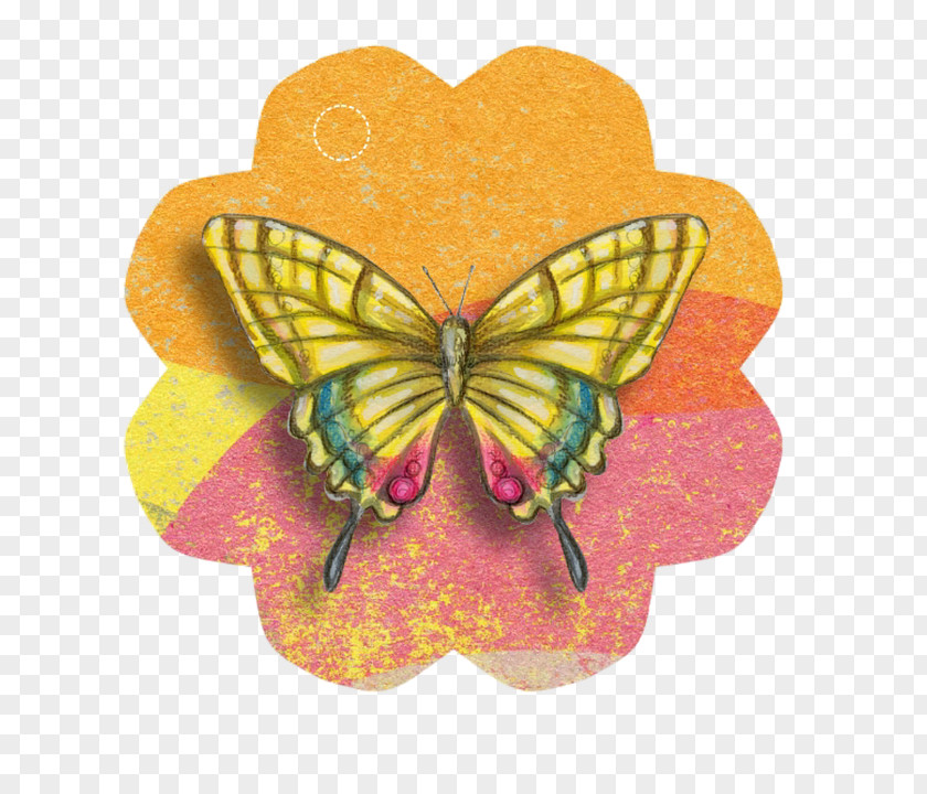 Butterfly Paper Clip Art Butterflies And Moths PNG