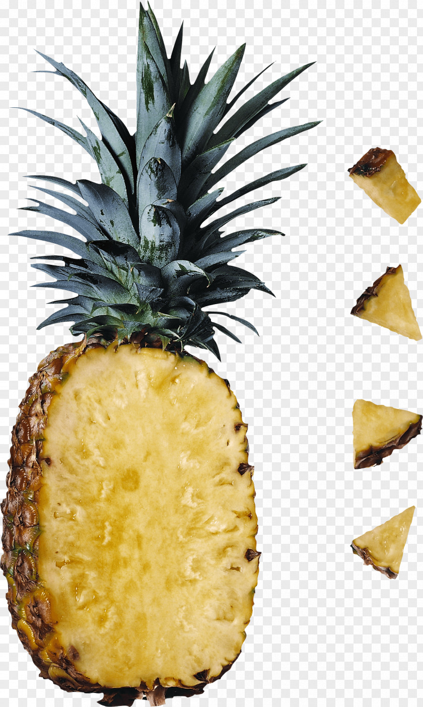 Pineapple Image Download Digestive Enzyme Food Protease Bromelain PNG