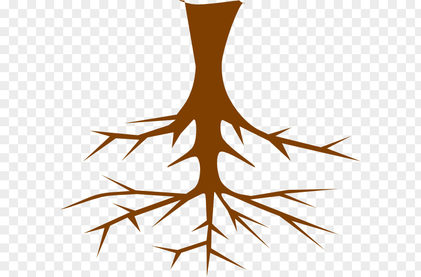 Roots Root Tree Clip Art PNG