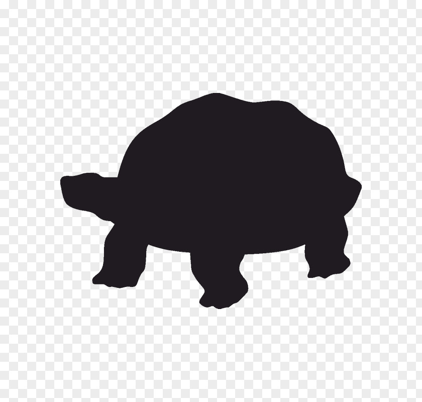 Turtle Teenage Mutant Ninja Turtles Silhouette Tortoise Stencil PNG