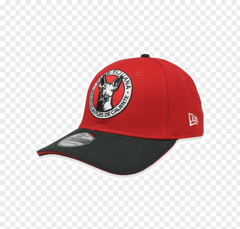 Cap Chicago Bulls Baseball Clothing Hat PNG