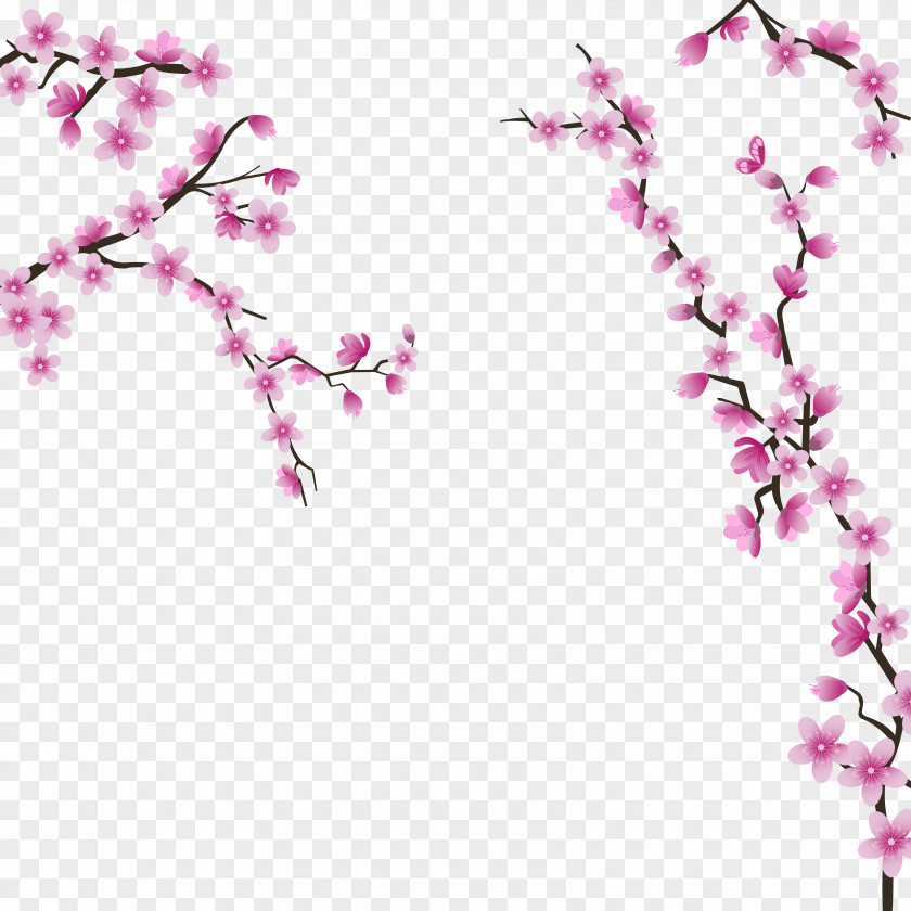 Cherry Blossoms Blossom Wedding Invitation Flower PNG