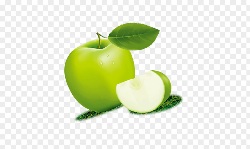 Cyan Apple Granny Smith Green PNG