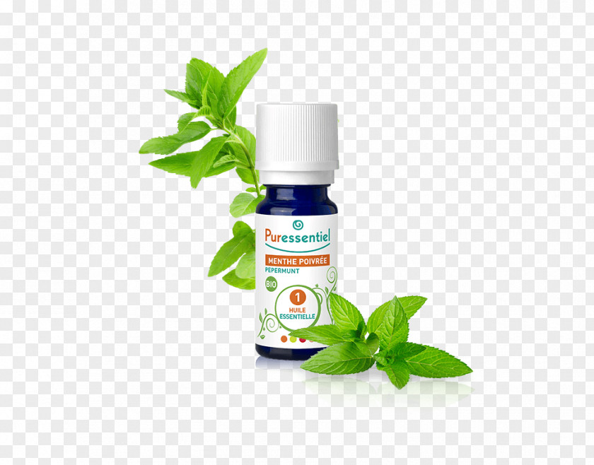 Oil Peppermint Essential Huile Essentielle De Menthe Aromatherapy PNG