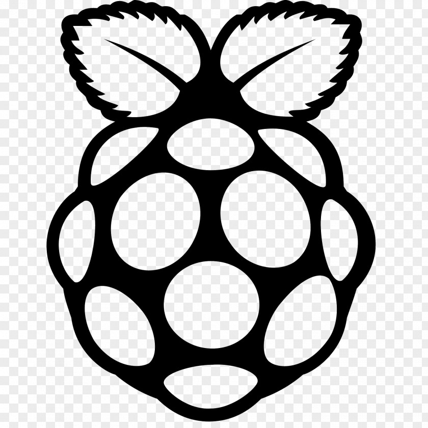 Raspberries Vector Raspberry Pi 3 PNG