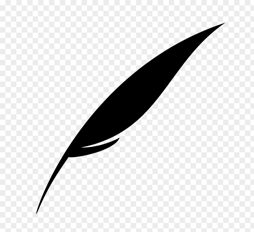 Vector Source File Feather Drawing Clip Art PNG