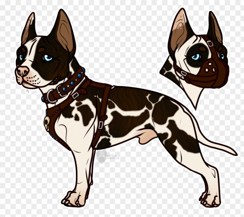 Cute Bulldog Boston Terrier Whiskers Dog Breed Cat Non-sporting Group PNG