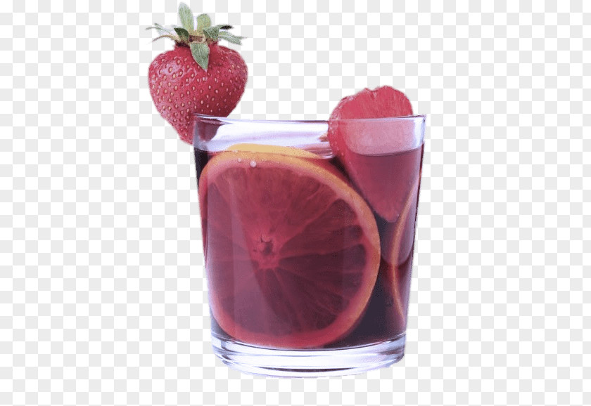 Drink Juice Tinto De Verano Cocktail Garnish Woo PNG