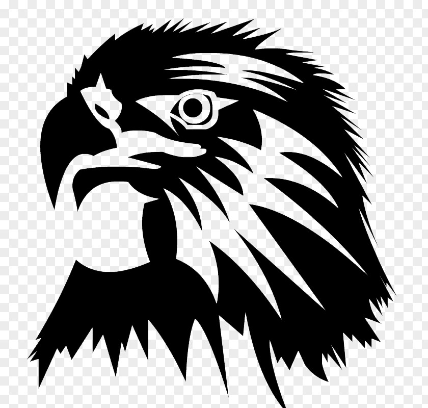 Eagle Head Image Clip Art PNG