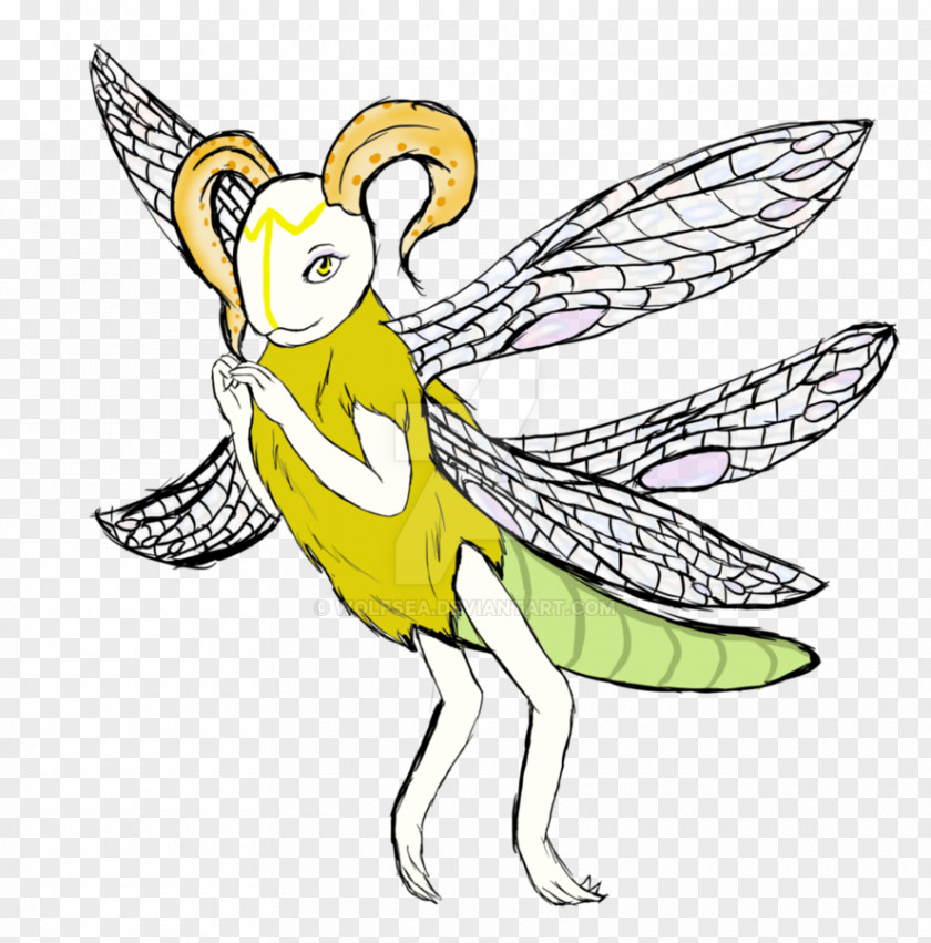 Gardenia Line Art Cartoon Insect Clip PNG