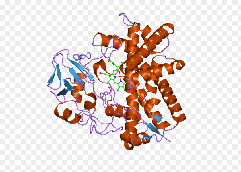 Hexanitrohexaazaisowurtzitane Protein Tyrosine Phosphatase, Non-receptor Type 7 PTPN7 PTPN22 Keyword Tool PNG