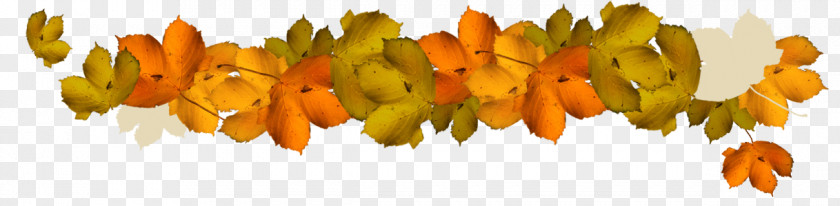 Invierno Leaf Autumn Clip Art PNG