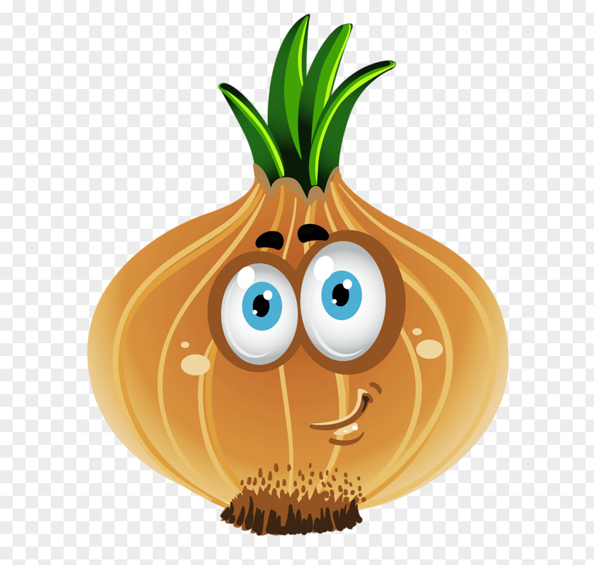 Onion Vegetable Cartoon Drawing Clip Art PNG
