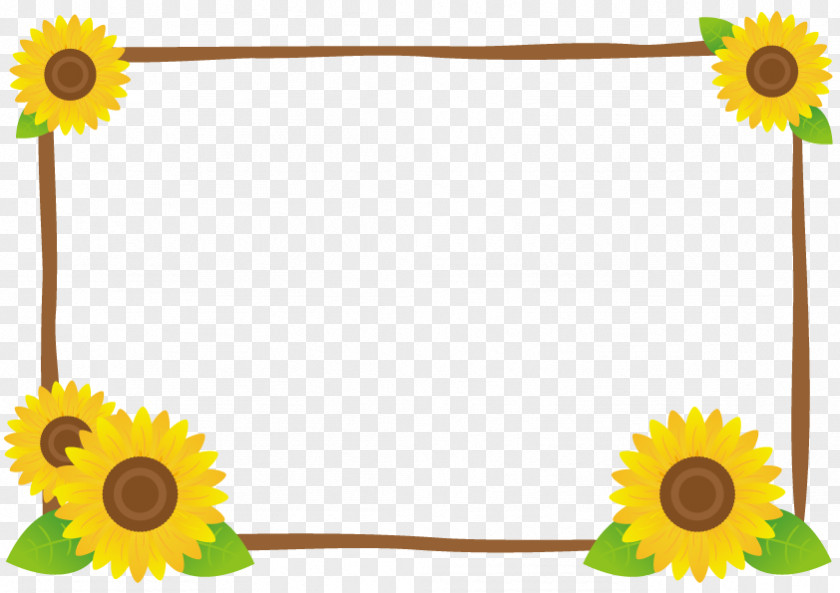 Sunflower And Crate Frame. PNG