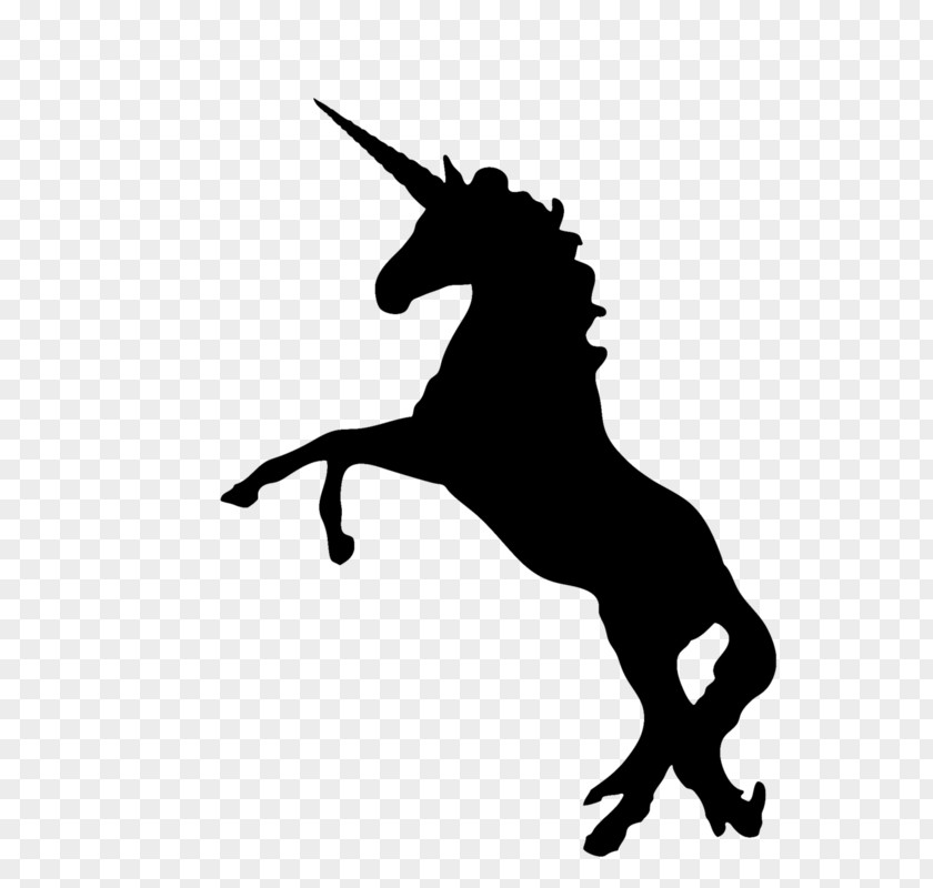 Unicorn Black And White Coloring Book Clip Art PNG