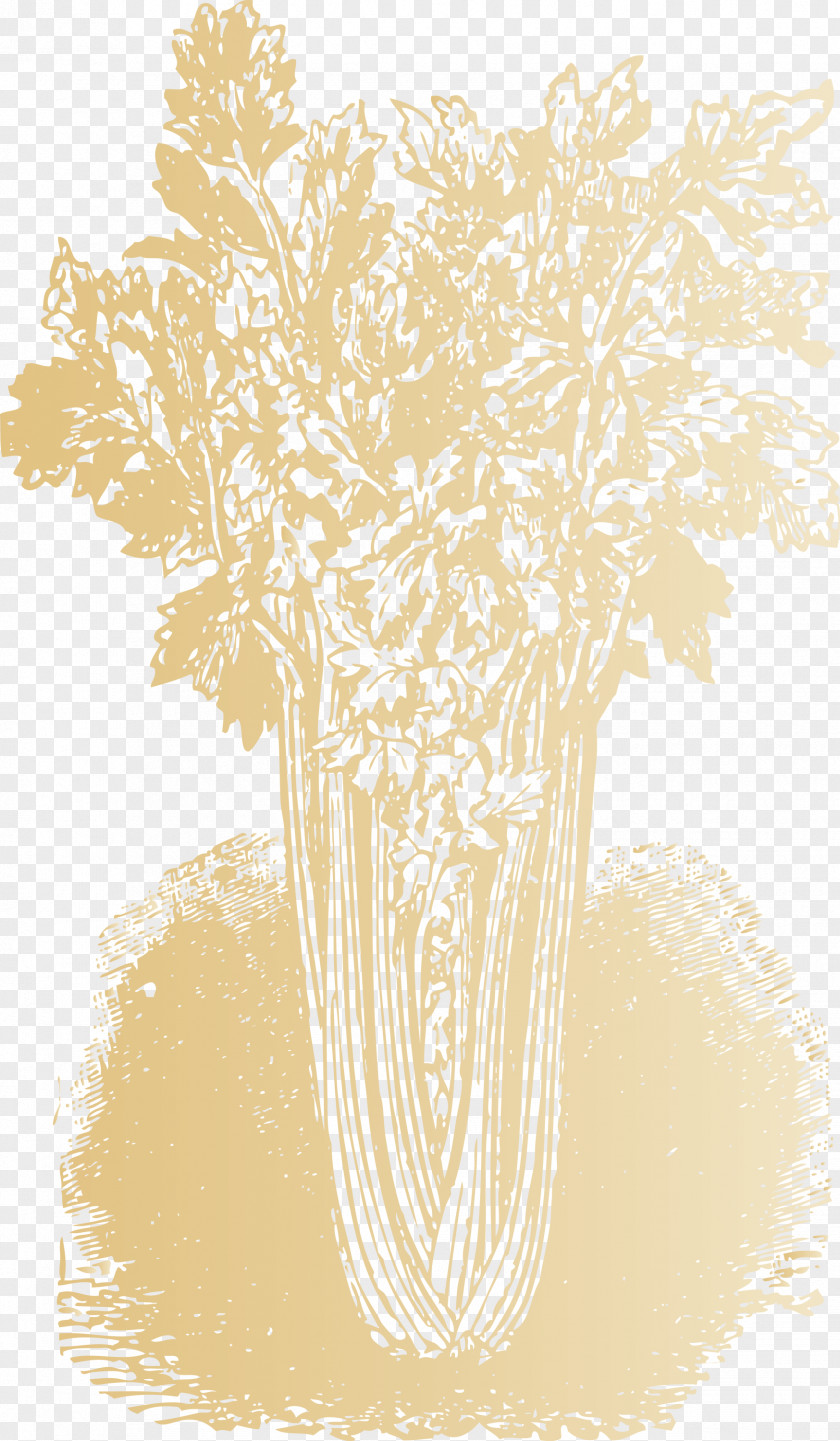 Vegetable PNG