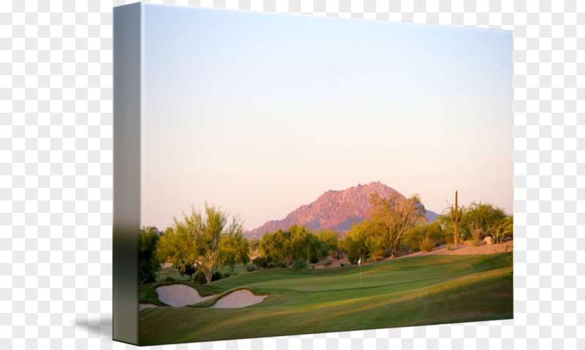 Arizona Desert Golf Course Clubs Land Lot Energy PNG