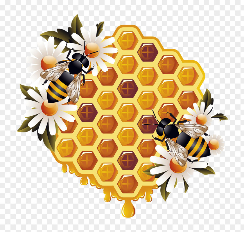 Bee Honey Beehive Bumblebee PNG