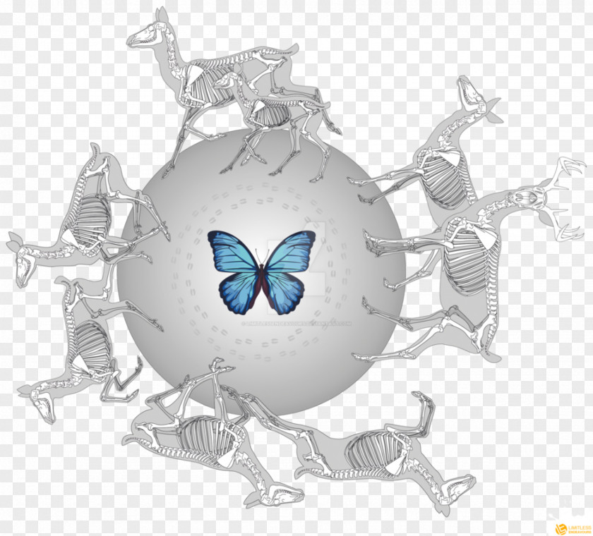 Butterfly PNG