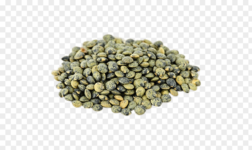 Cooking Dal Le Puy Green Lentil Food Common Bean PNG