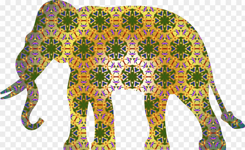 Elephants Indian Elephant African Clip Art PNG