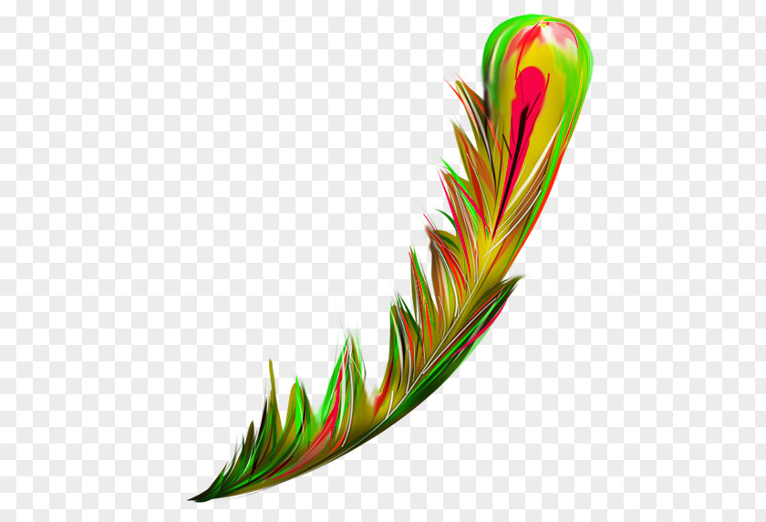 Green Fresh Feather Decorative Patterns Bird Euclidean Vector PNG