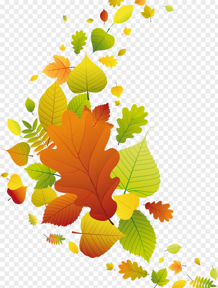Leaves-fall Paper Autumn Leaf Clip Art PNG