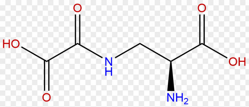 Monosodium Glutamate Gamma-L-Glutamyl-L-cysteine Glutamic Acid Glutathione Amino PNG