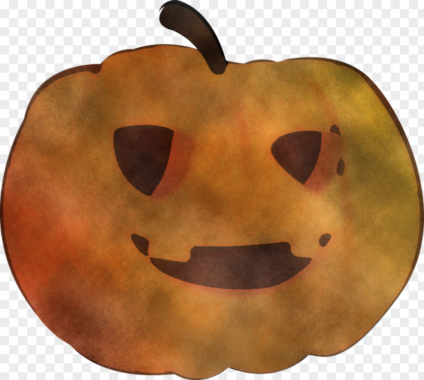 Mouth Snout Orange PNG