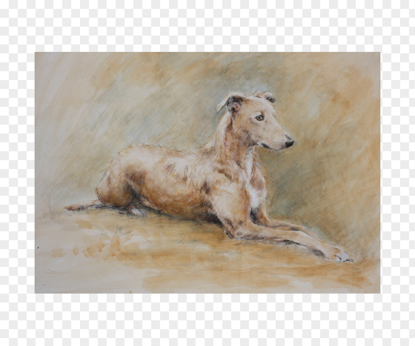 Painting Lurcher Italian Greyhound Borzoi Whippet PNG
