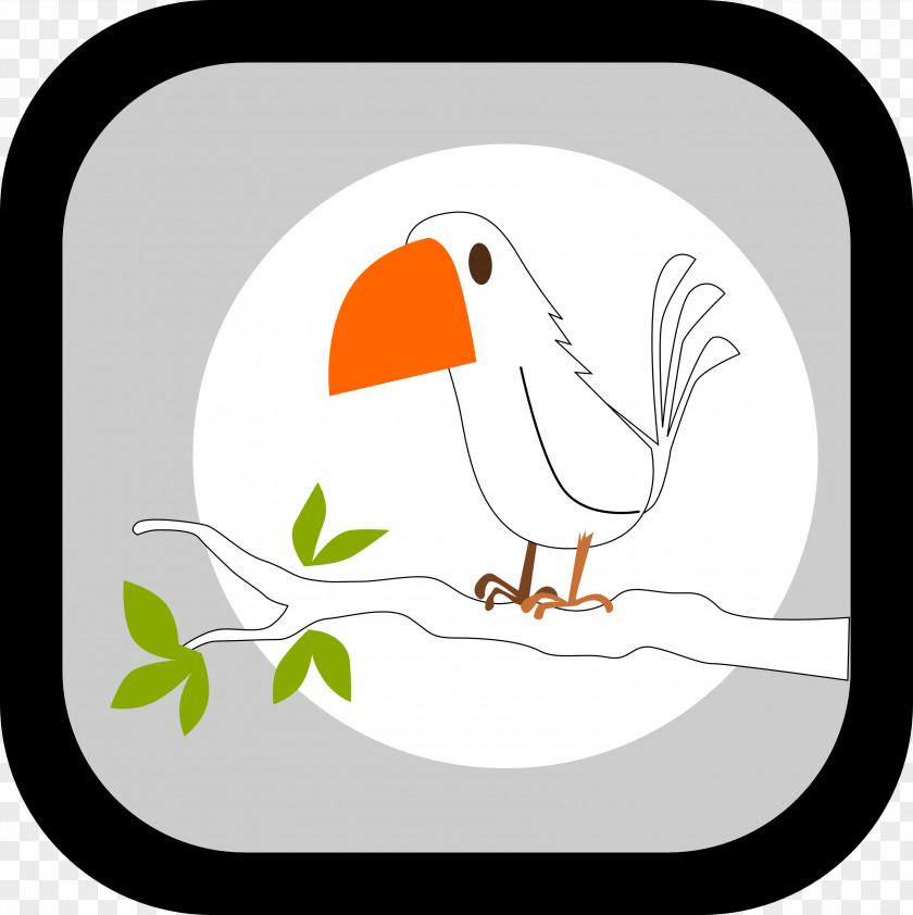 Peace Bird Columbidae Doves As Symbols Clip Art PNG