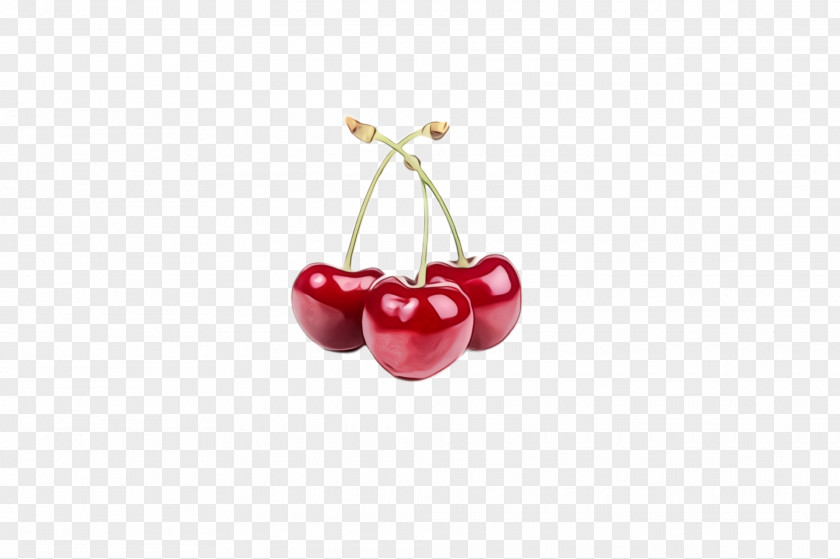 Berry Heart Cherry Red Fruit Pink Plant PNG