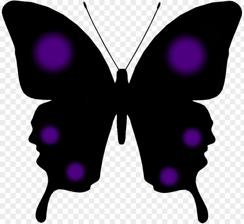 Butterfly Clip Art PNG