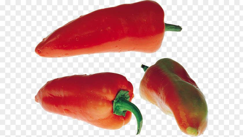 Chili Pepper Jalapeño PNG