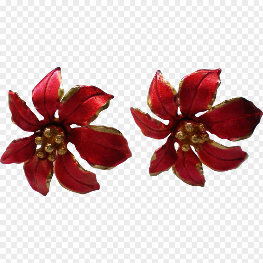 Jewellery Earring Flower Brooch Red Coral PNG
