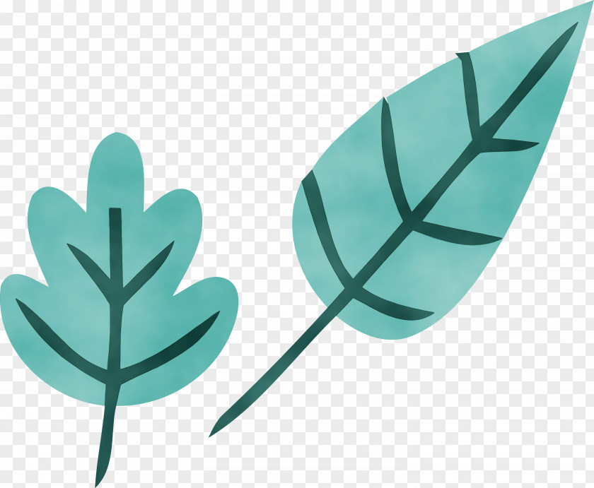 Leaf Teal Microsoft Azure Biology Science PNG