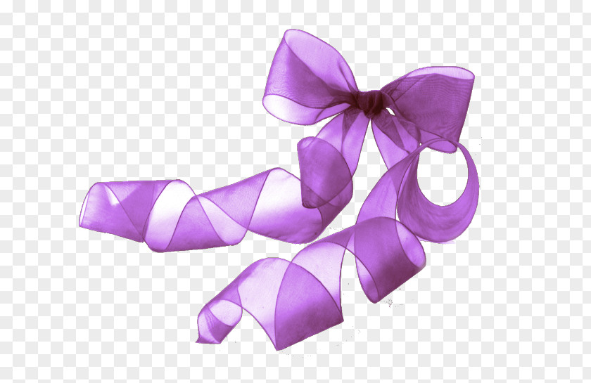 Purple Ribbon Bow Icon PNG