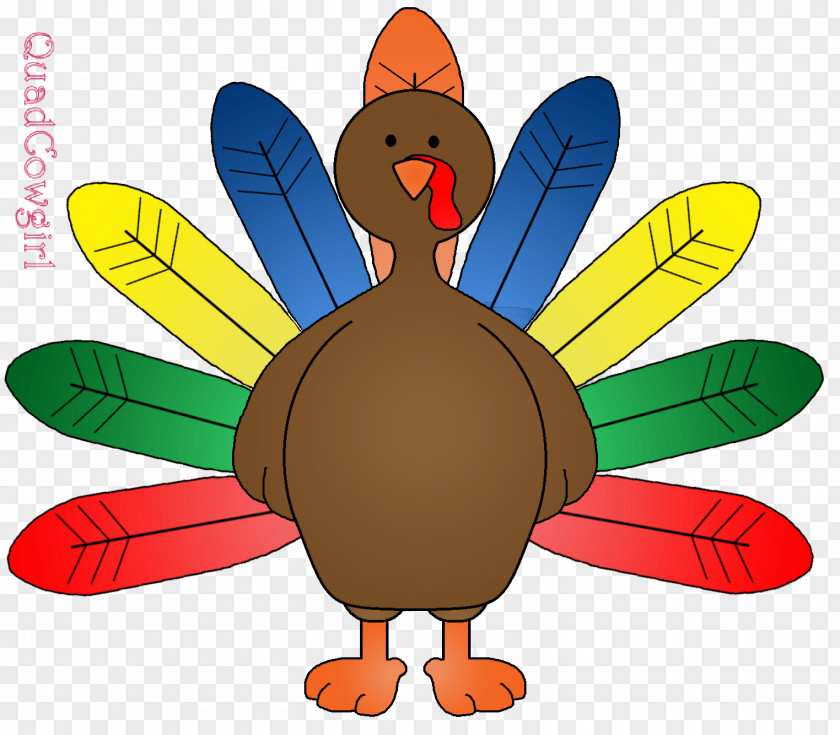 Quad Black Turkey Meat Coloring Book PNG