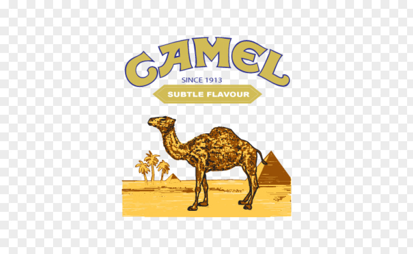T-shirt Joe Camel Dromedary Cigarette PNG