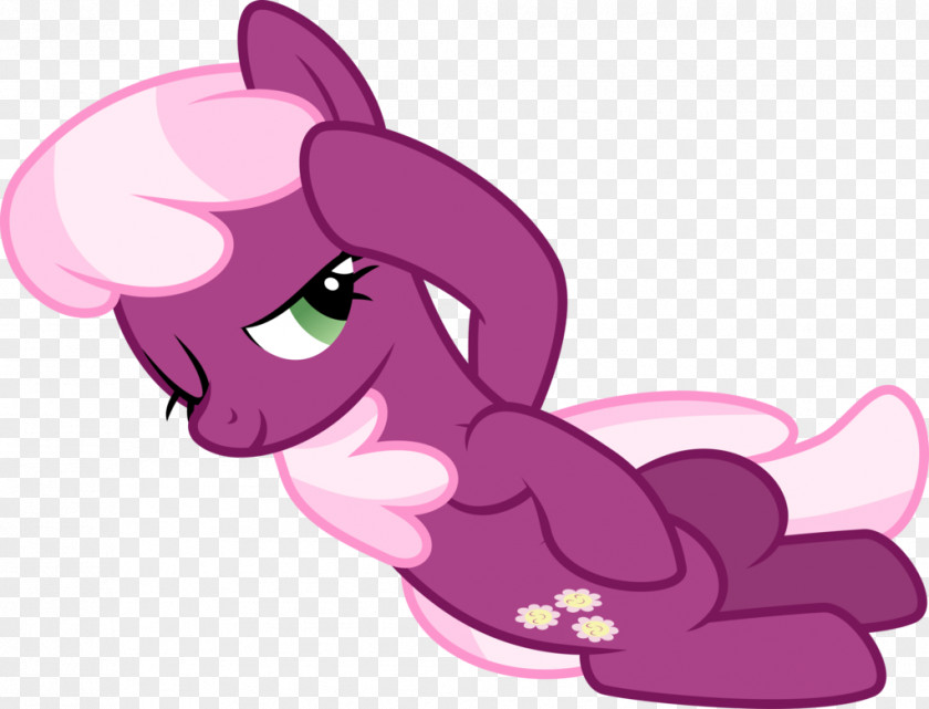 Big Mac Pinkie Pie Pony Cheerilee Rainbow Dash Twilight Sparkle PNG
