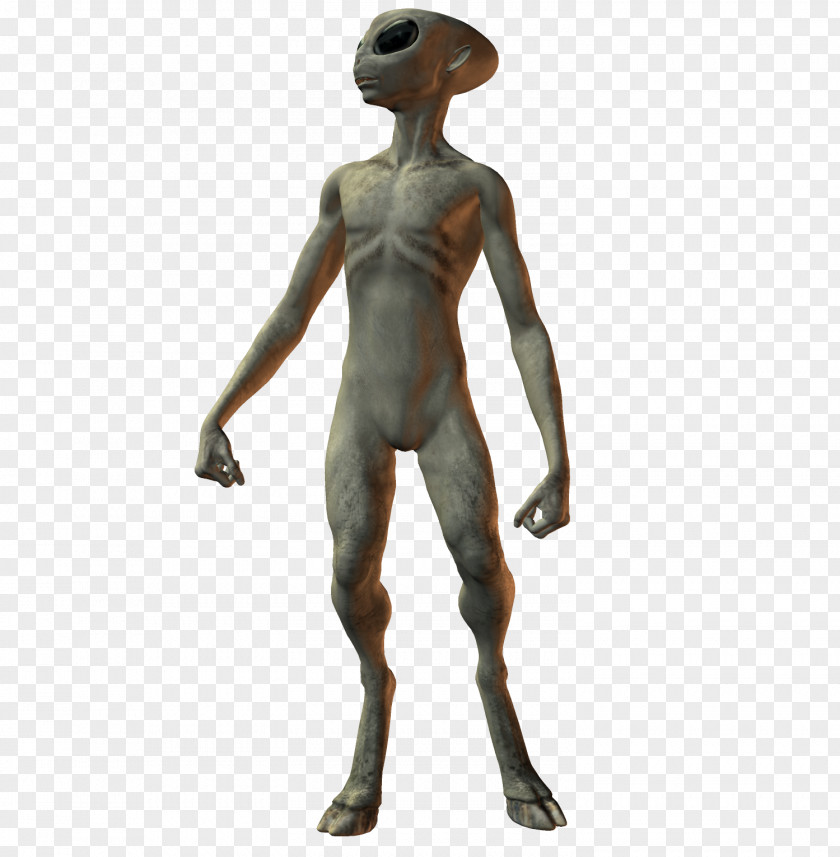 Alien Grey Extraterrestrial Life Extraterrestrials In Fiction Homo Sapiens PNG