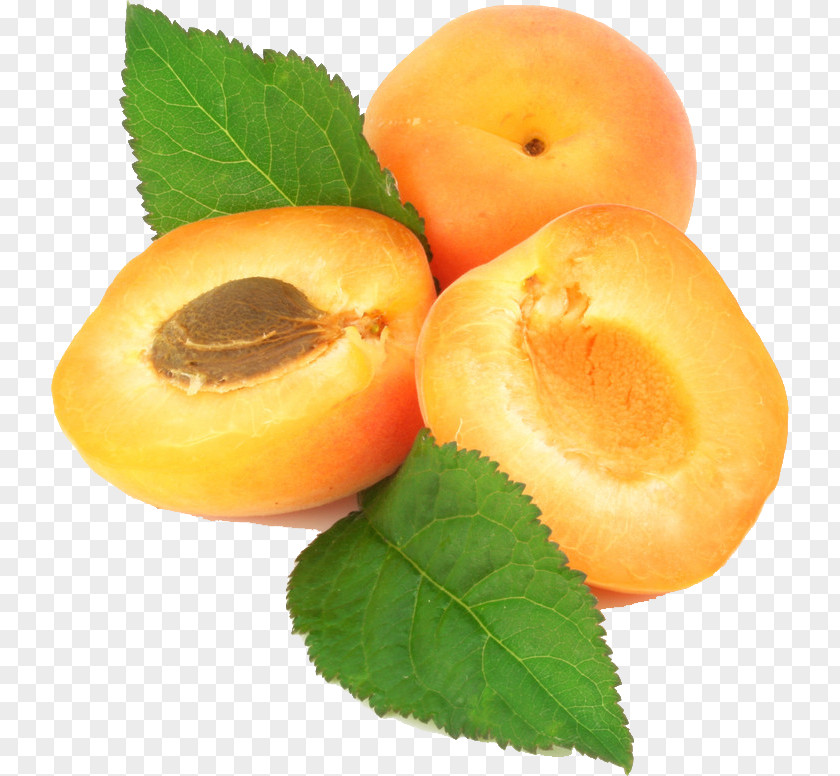 Apricot Kernel Oil Fruit PNG